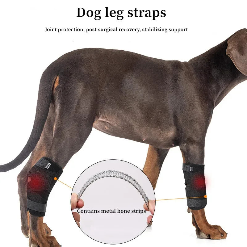 Dog Knee Recovery Kit