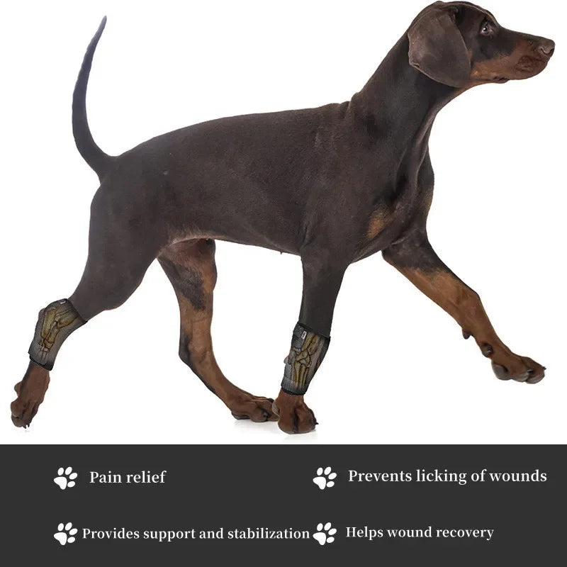 Dog Knee Recovery Kit